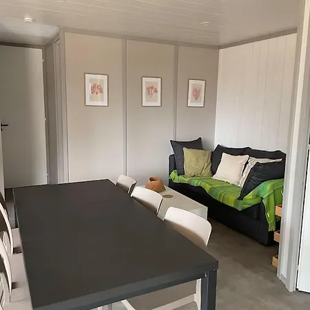 Dans Parc Residentiel De Loisirs, Piscine, 150m De La Dağ evi