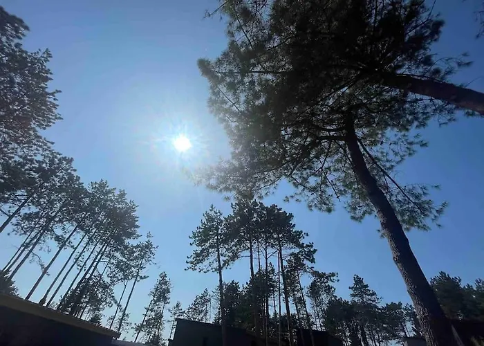 Dans Parc Résidentiel De Loisirs, Piscine, 150m De La *