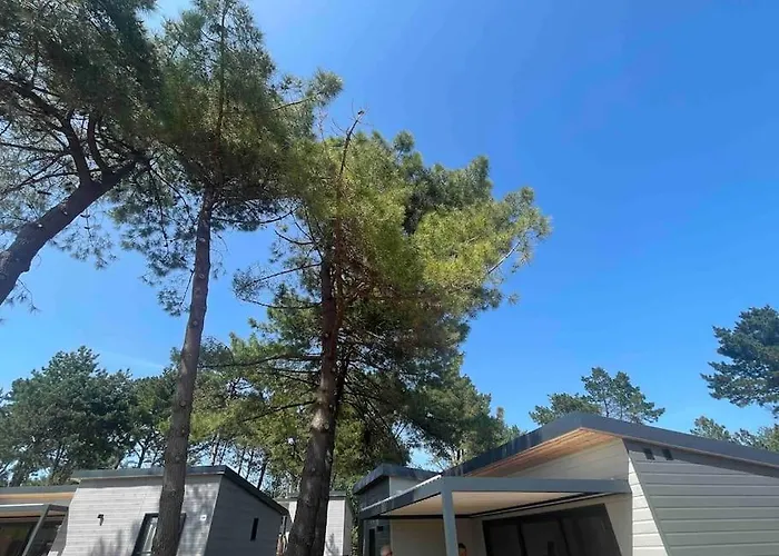 Chalet Dans Parc Résidentiel De Loisirs, Piscine, 150m De La Jullouville-les-Pins