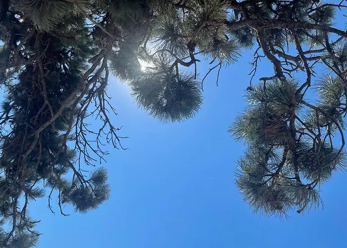 Dans Parc Résidentiel De Loisirs, Piscine, 150m De La *